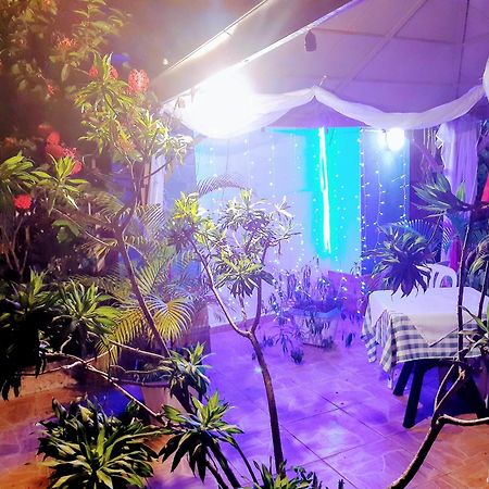 Hotel El Tronco Inc โบกา ชิกา ภายนอก รูปภาพ
