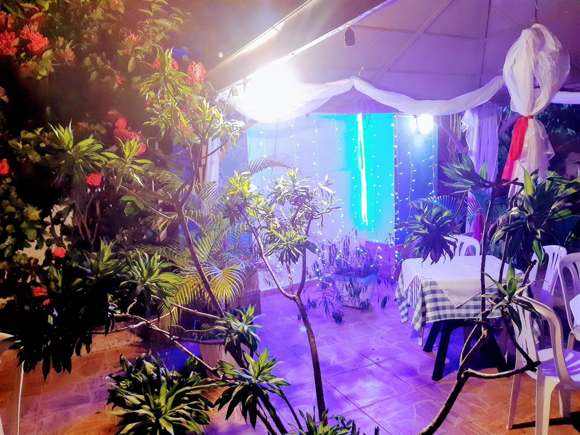 Hotel El Tronco Inc โบกา ชิกา ภายนอก รูปภาพ