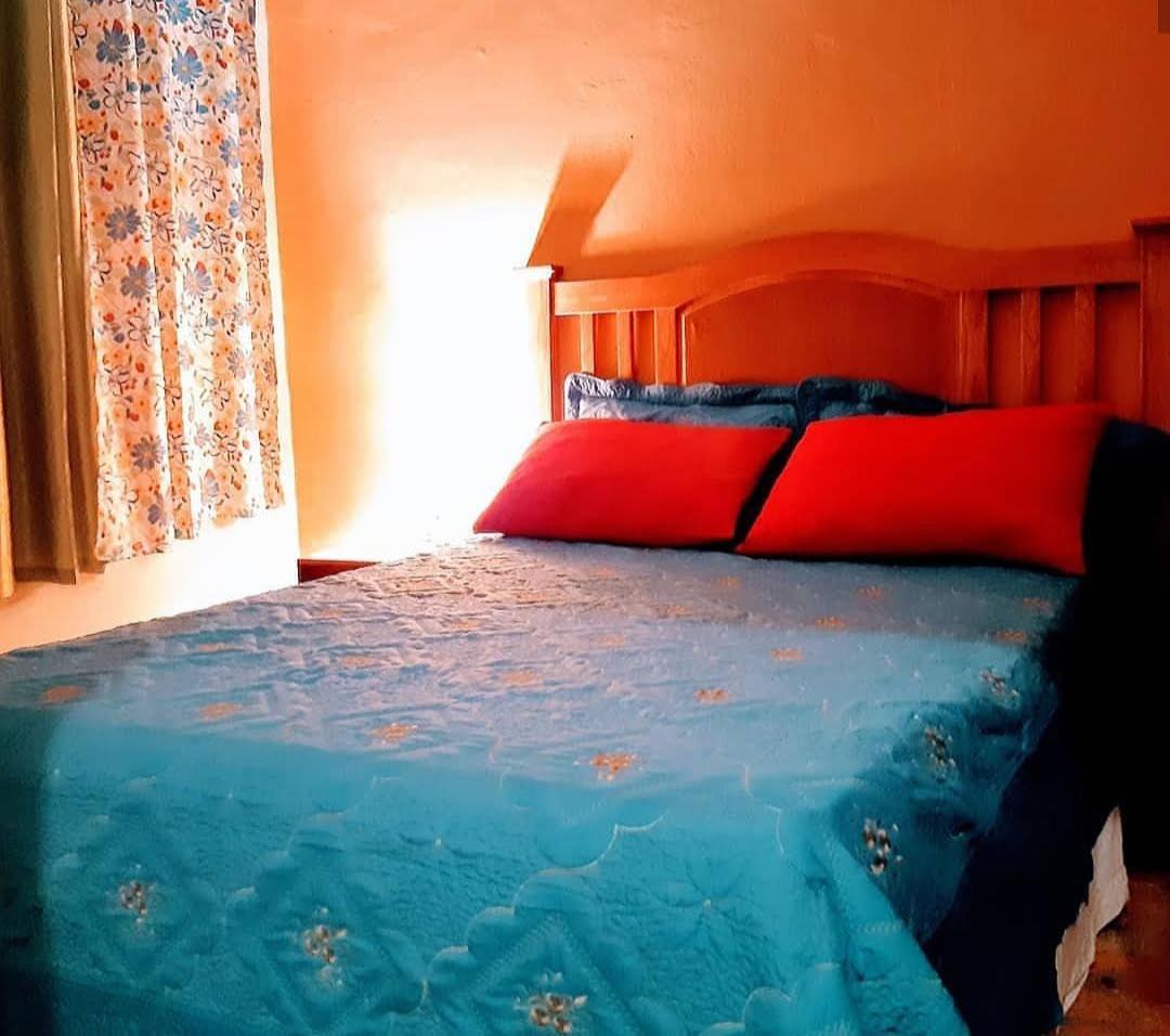 Hotel El Tronco Inc โบกา ชิกา ภายนอก รูปภาพ